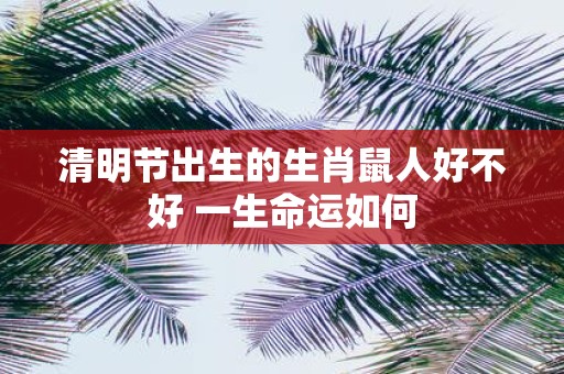 清明节出生的生肖鼠人好不好 一生命运如何