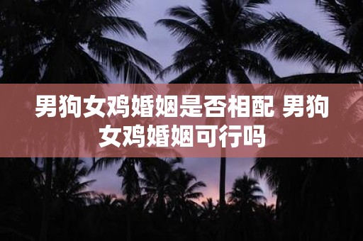 男狗女鸡婚姻是否相配 男狗女鸡婚姻可行吗