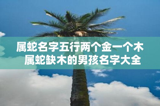 属蛇名字五行两个金一个木 属蛇缺木的男孩名字大全 属蛇名字五行两个金一个木 属蛇缺木的男孩名字大全