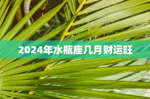 2025年水瓶座几月财运旺