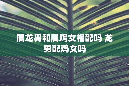 属龙男和属鸡女相配吗 龙男配鸡女吗