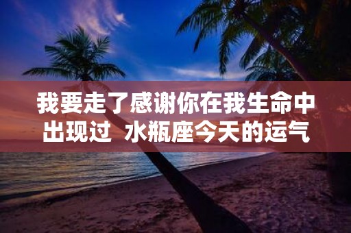 我要走了感谢你在我生命中出现过 水瓶座今天的运气怎么样啊