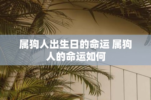 属狗人出生日的命运 属狗人的命运如何