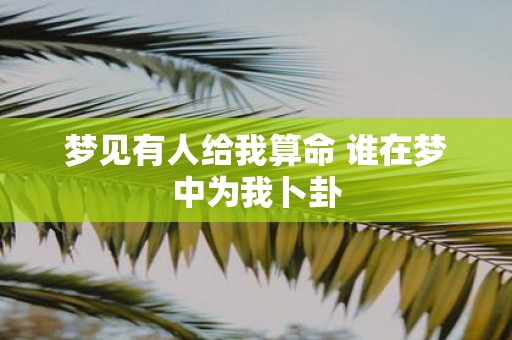 梦见有人给我算命 谁在梦中为我卜卦