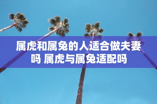 属虎和属兔的人适合做夫妻吗 属虎与属兔适配吗