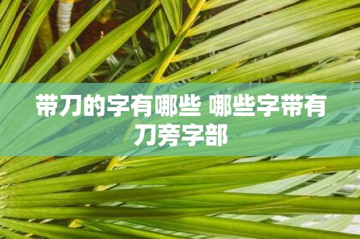 带刀的字有哪些 哪些字带有刀旁字部