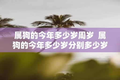 属狗的今年多少岁周岁 属狗的今年多少岁分别多少岁