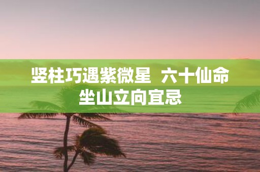 竖柱巧遇紫微星 六十仙命坐山立向宜忌