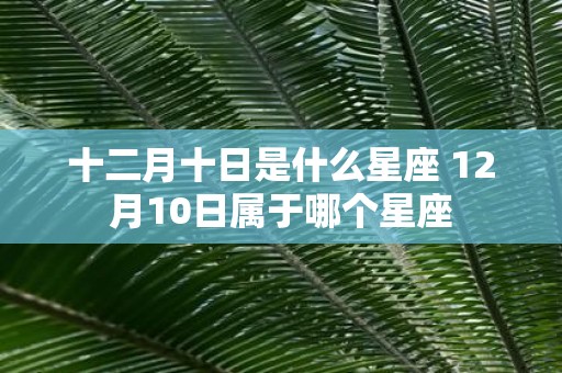 十二月十日是什么星座 12月10日属于哪个星座