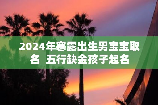2025年寒露出生男宝宝取名 五行缺金孩子起名