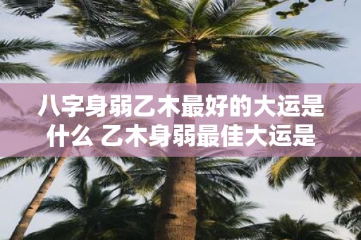 八字身弱乙木最好的大运是什么 乙木身弱最佳大运是什么