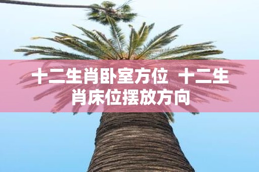 十二生肖卧室方位 十二生肖床位摆放方向