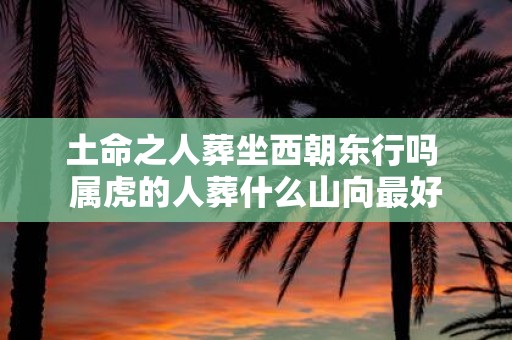 土命之人葬坐西朝东行吗 属虎的人葬什么山向最好