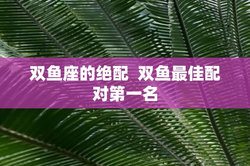 双鱼座的绝配 双鱼最佳配对第一名