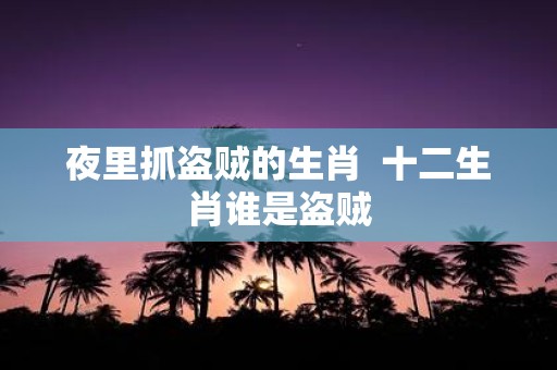夜里抓盗贼的生肖 十二生肖谁是盗贼