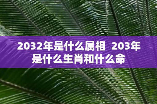 2032年是什么属相 203年是什么生肖和什么命