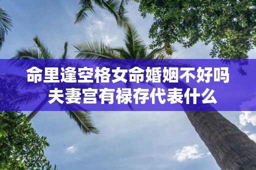 命里逢空格女命婚姻不好吗 夫妻宫有禄存代表什么