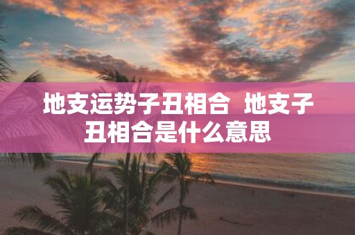 地支运势子丑相合 地支子丑相合是什么意思
