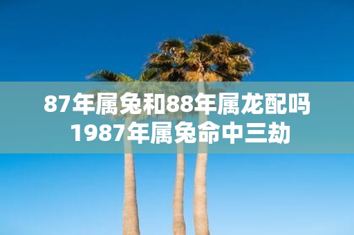 87年属兔和88年属龙配吗 1987年属兔命中三劫