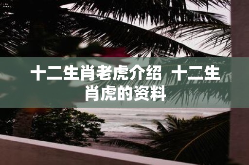 十二生肖老虎介绍 十二生肖虎的资料