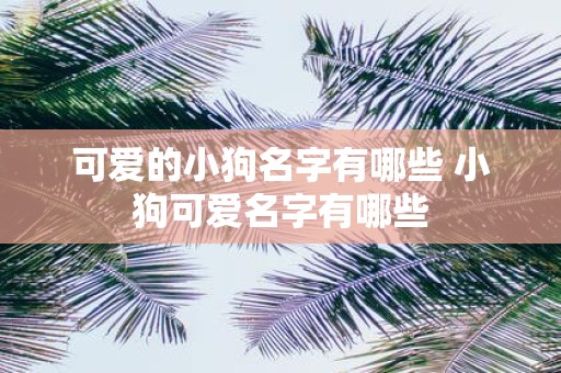 可爱的小狗名字有哪些 小狗可爱名字有哪些