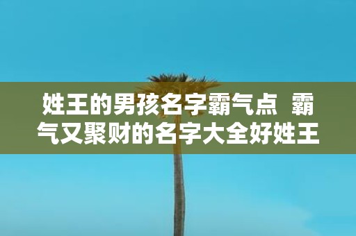 姓王的男孩名字霸气点 霸气又聚财的名字大全好姓王