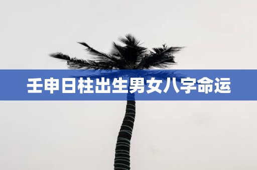 壬申日柱出生男女八字命运