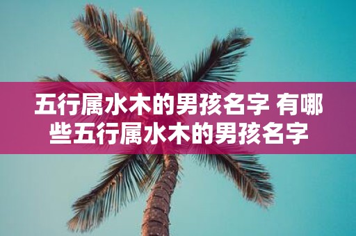 五行属水木的男孩名字 有哪些五行属水木的男孩名字