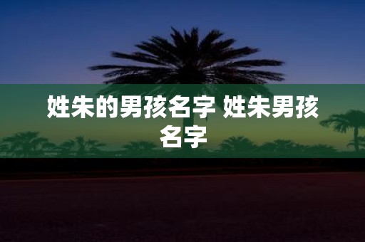 姓朱的男孩名字 姓朱男孩名字
