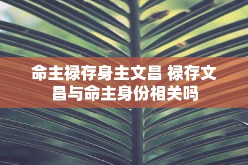 命主禄存身主文昌 禄存文昌与命主身份相关吗