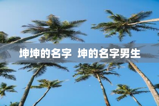 坤坤的名字 坤的名字男生