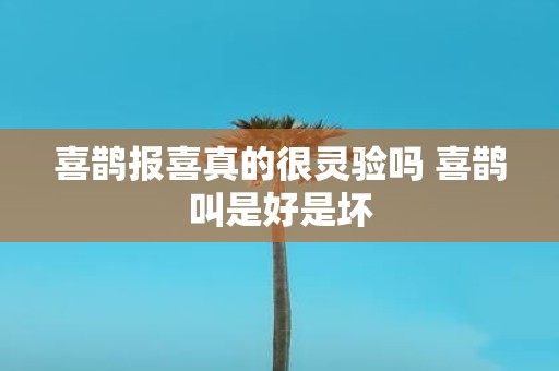 喜鹊报喜真的很灵验吗 喜鹊叫是好是坏