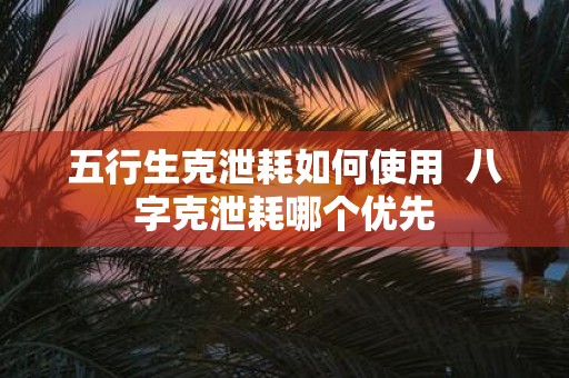 五行生克泄耗如何使用 八字克泄耗哪个优先