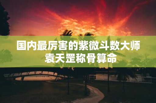 国内最厉害的紫微斗数大师 袁天罡称骨算命
