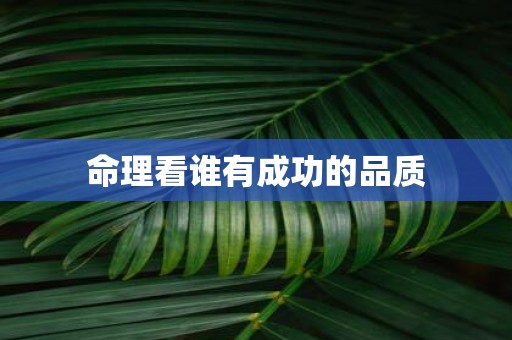 命理看谁有成功的品质