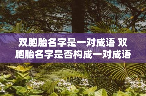 双胞胎名字是一对成语 双胞胎名字是否构成一对成语