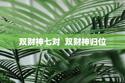 双财神七对 双财神归位