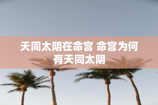 天同太阴在命宫 命宫为何有天同太阴