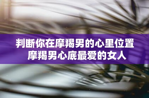 判断你在摩羯男的心里位置 摩羯男心底最爱的女人