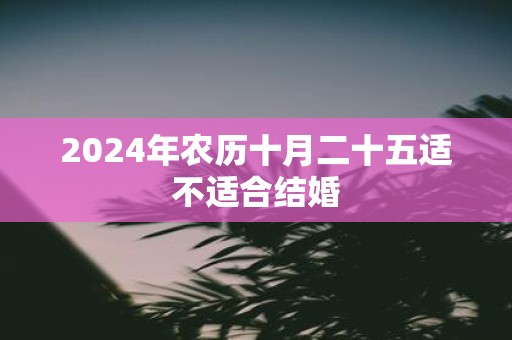 2025年农历十月二十五适不适合结婚