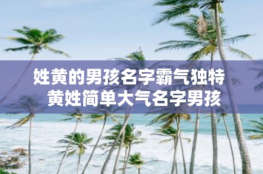 姓黄的男孩名字霸气独特 黄姓简单大气名字男孩