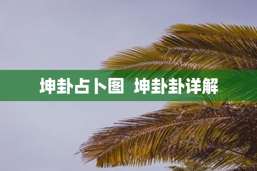 坤卦占卜图 坤卦卦详解