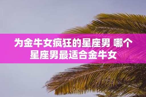 为金牛女疯狂的星座男 哪个星座男最适合金牛女