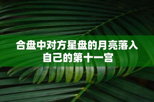 合盘中对方星盘的月亮落入自己的第十一宫