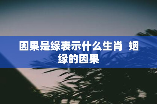 因果是缘表示什么生肖 姻缘的因果