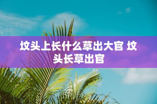 坟头上长什么草出大官 坟头长草出官
