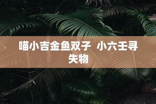 喵小吉金鱼双子 小六壬寻失物