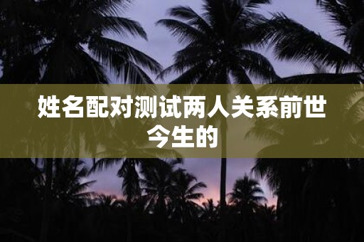 姓名配对测试两人关系前世今生的