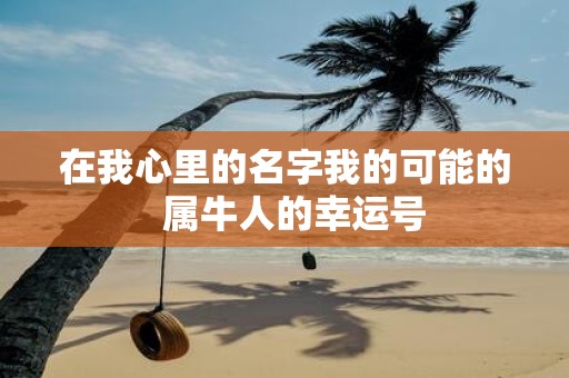 在我心里的名字我的可能的 属牛人的幸运号
