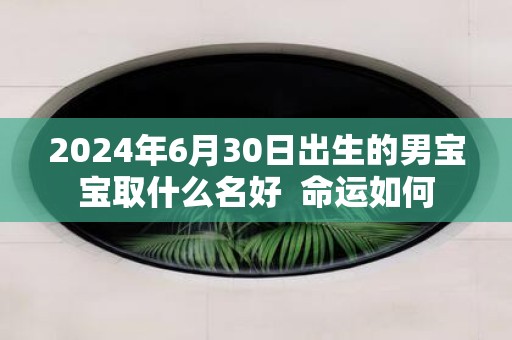 2025年6月30日出生的男宝宝取什么名好 命运如何